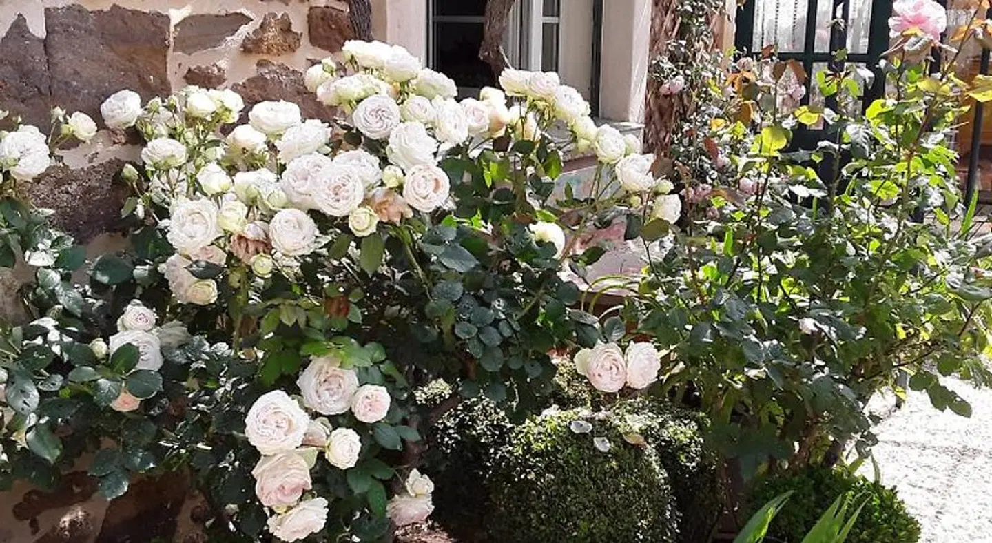Les Terres Basses Garten