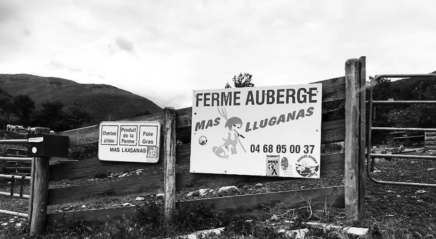 Mas Lluganas Landkarte
