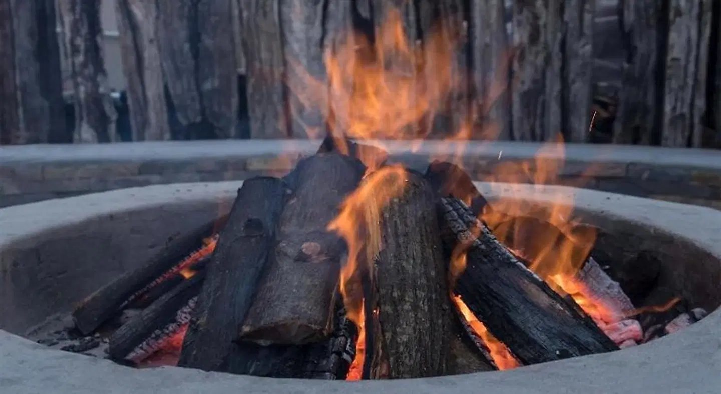 Luxury Backpackers Tiere