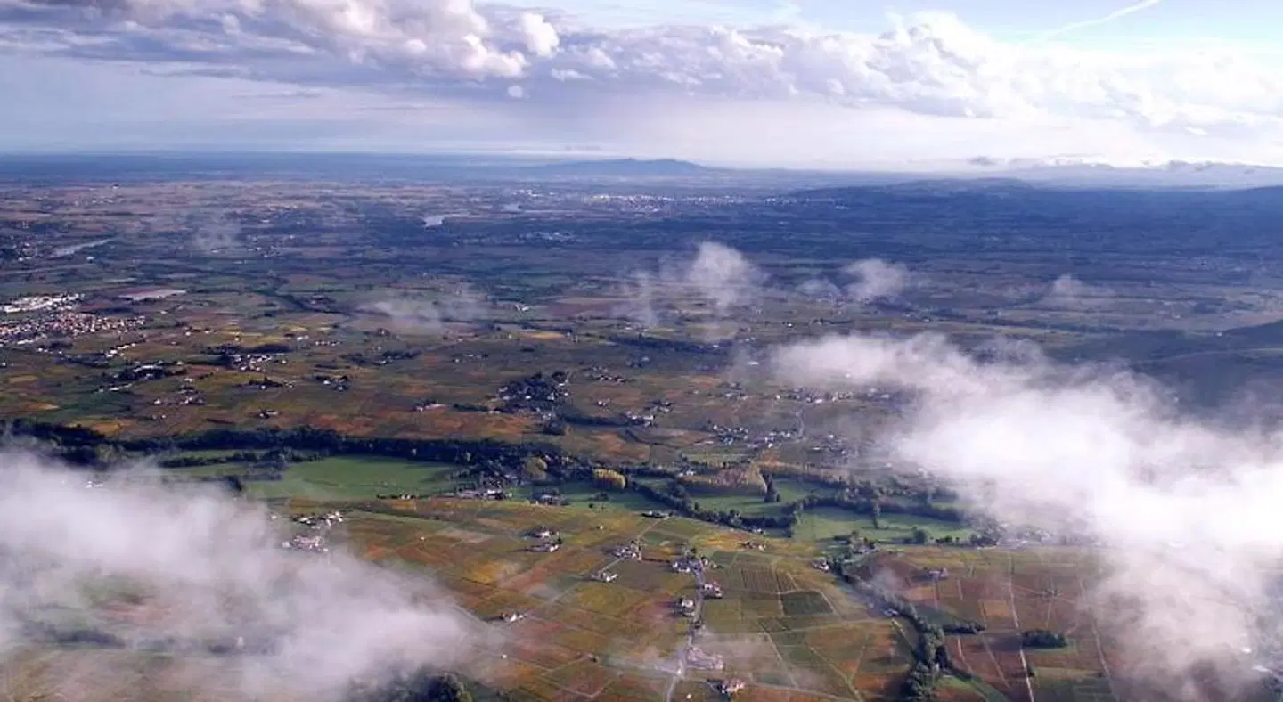Maison du Figuier LANDSCAPE