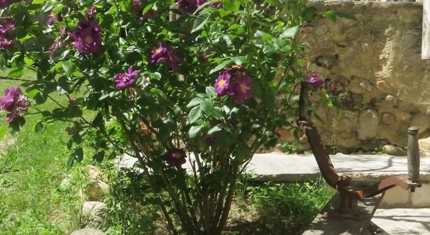 A la belle histoire Garten