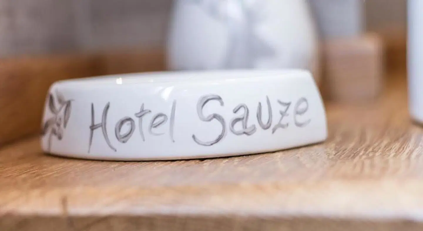 Hotel Sauze ROOM_EXAMPLE