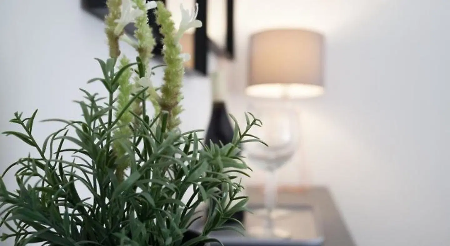 B&B Prometeo HEALTH_BEAUTY
