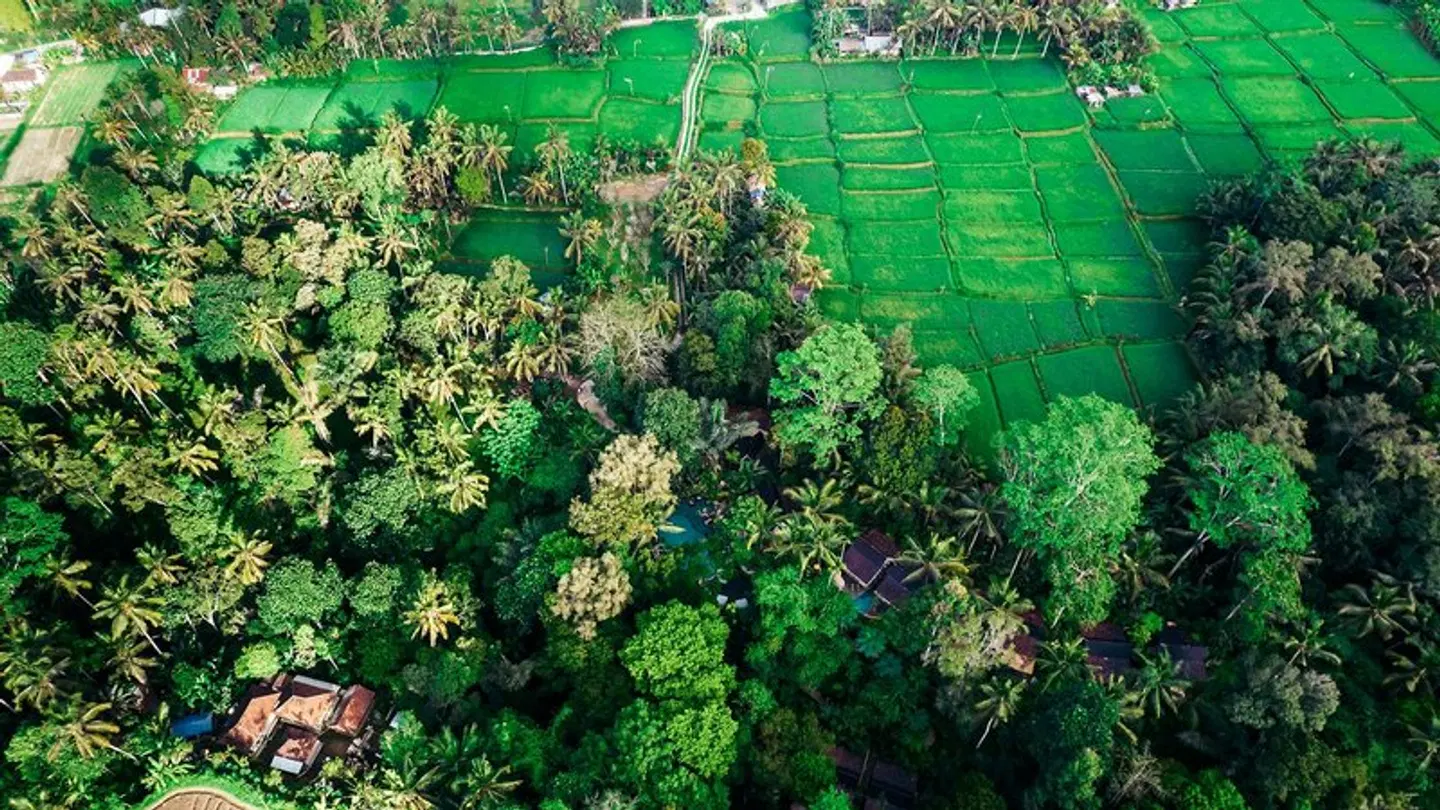 Pramana Giri Kusuma Garten