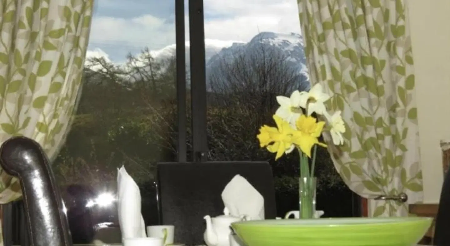 Mayfield B&B Terrasse