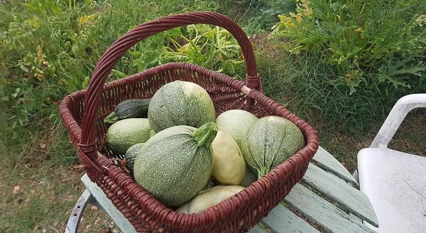 Mas des Ballats Terrasse