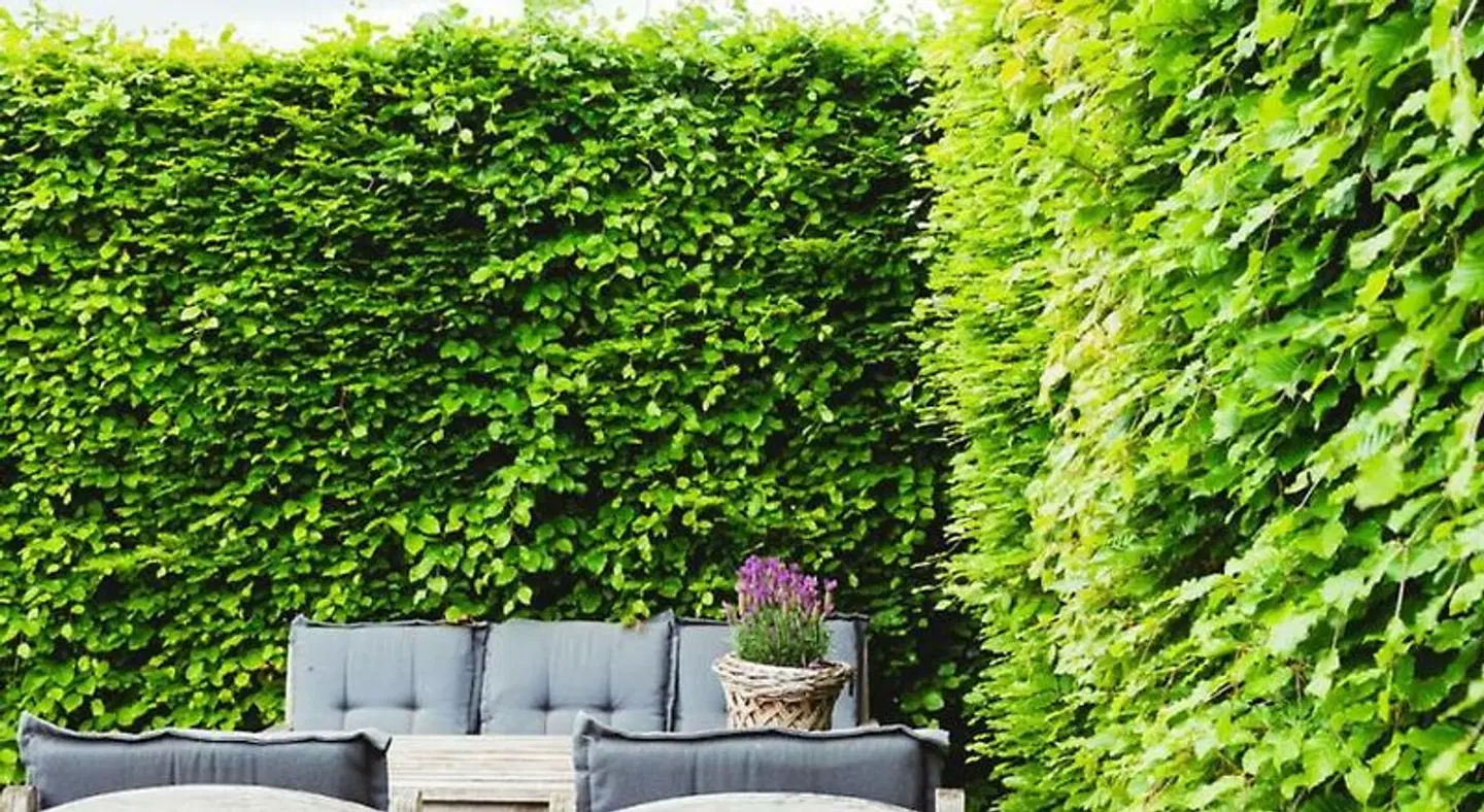 De Bedstay Terrasse