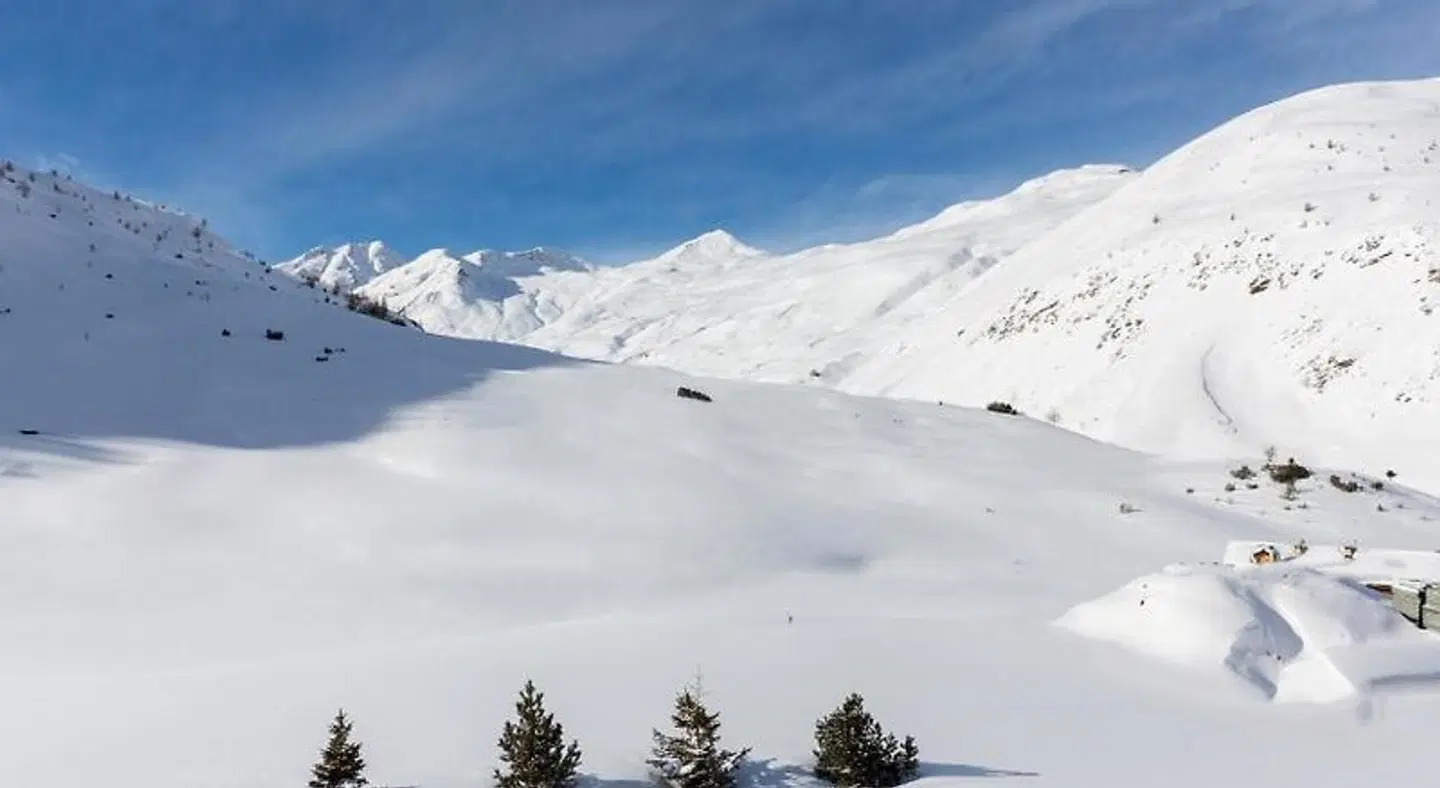 Al Chestelet LANDSCAPE