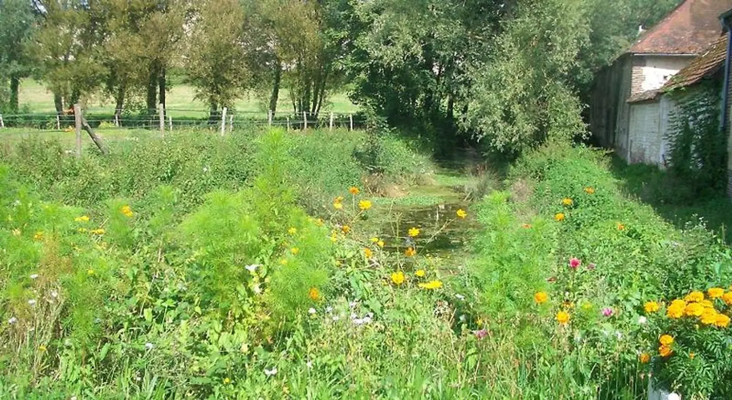 Château Des Roises Garten
