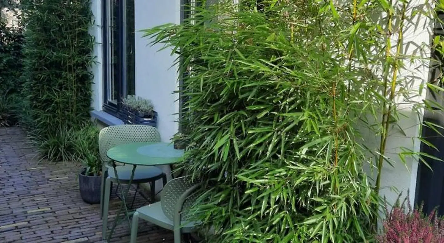 Inn the Green Terrasse