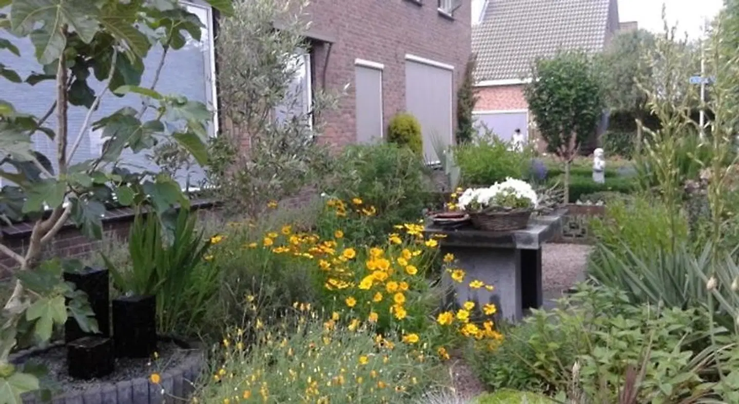 Bed and Breakfast de Verwennerij EXTERIOR