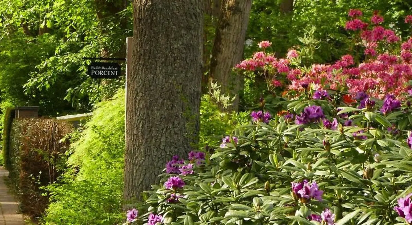 B&B Porcini Garten