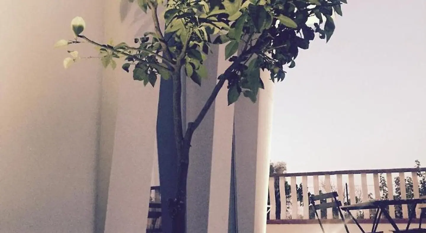 Corte Sveva B&B Affittacamere EXTERIOR