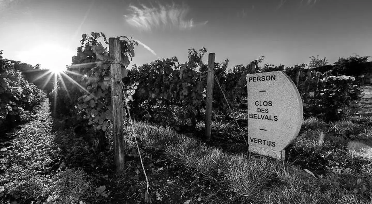 Domaine Le Clos des Belvals LANDSCAPE