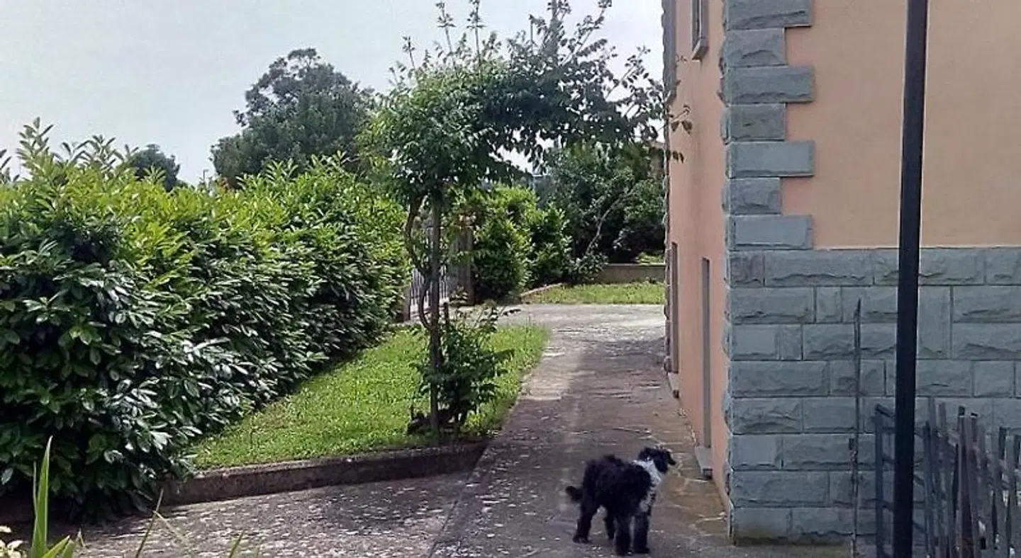 B&B Molin del Topo Garten