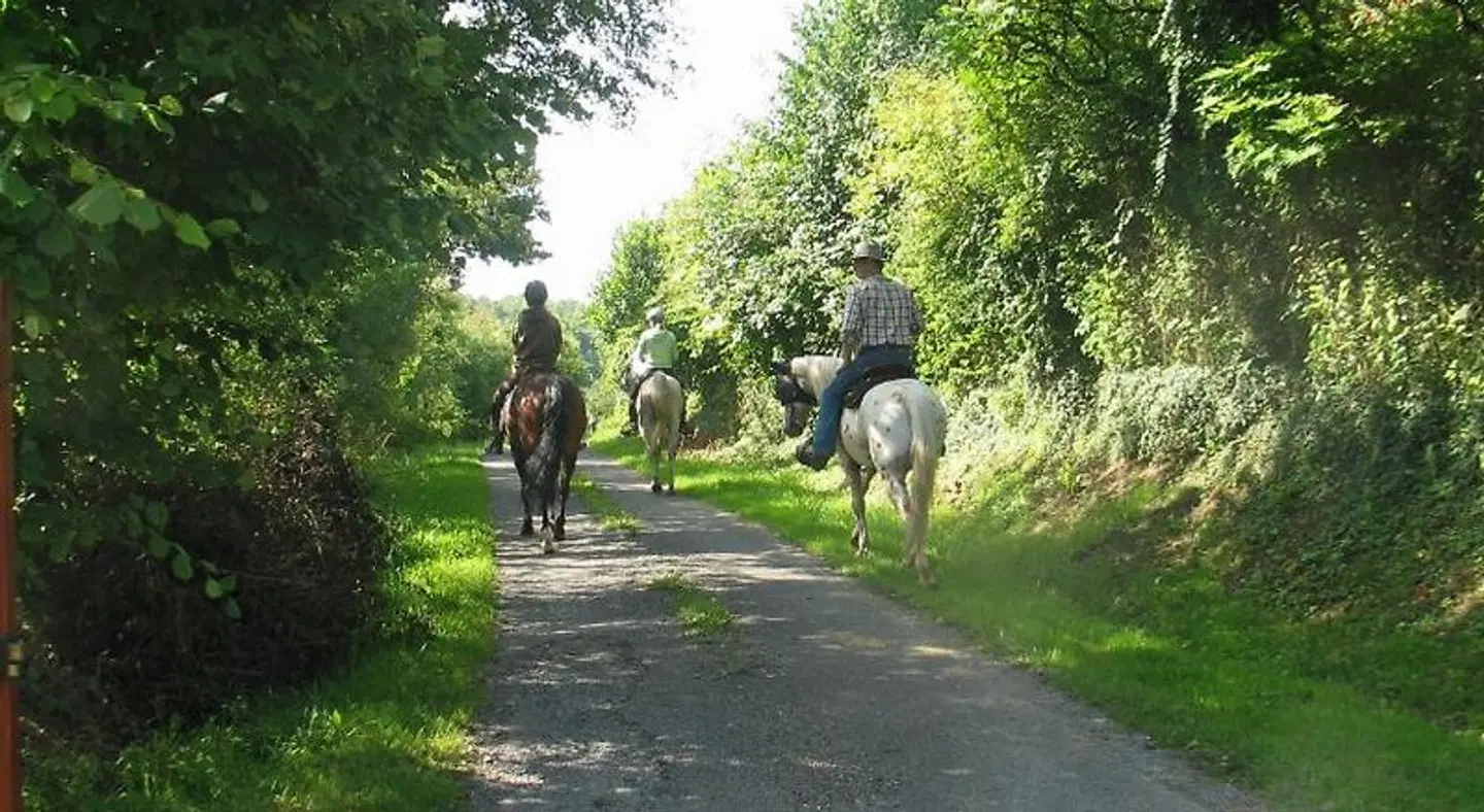 Chambres d'hôtes 4 Collines Tiere