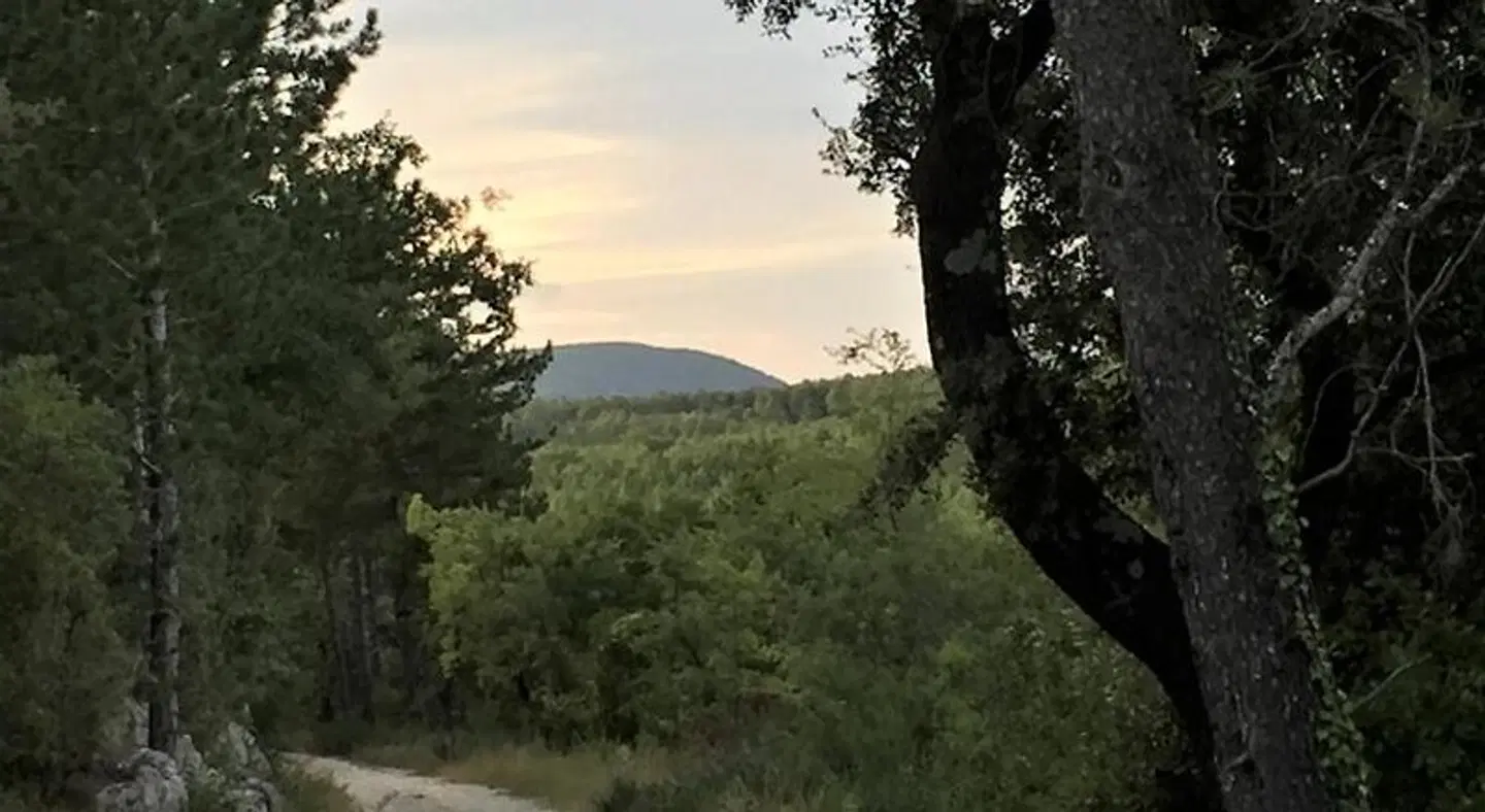 Le Mas des Sages LANDSCAPE