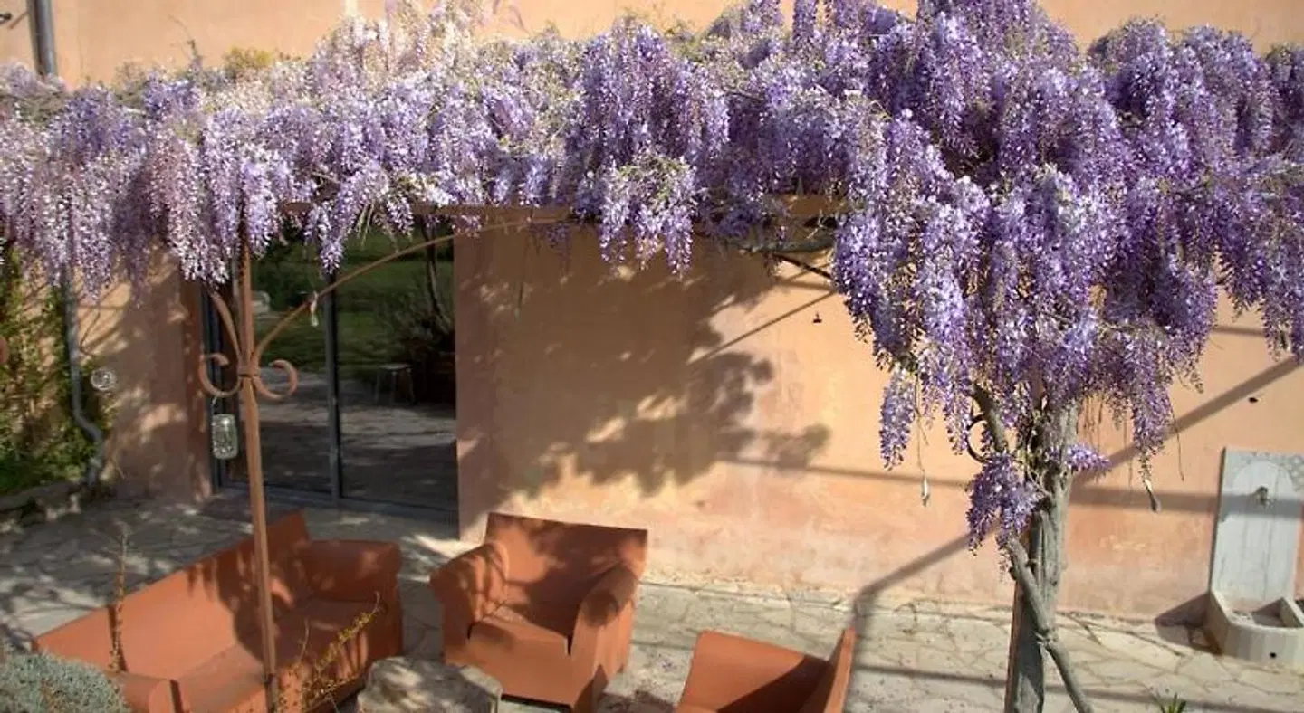 Mas Du Petit Claux Terrasse