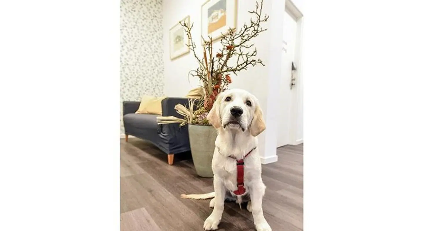 PRIMA Inn HOTEL & HOF NEURUPPIN Tiere