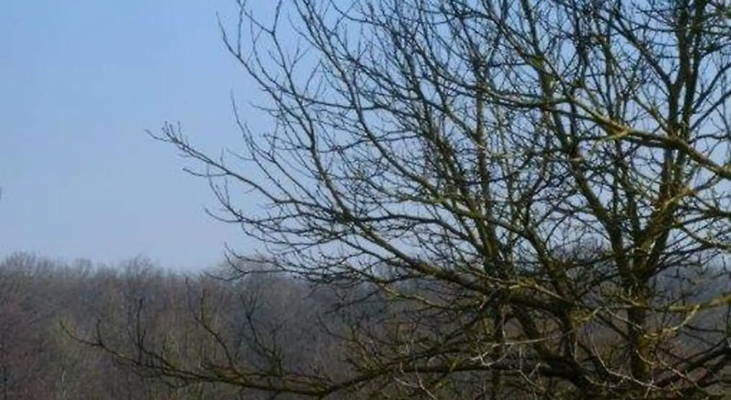 Les Temps Gourmands LANDSCAPE