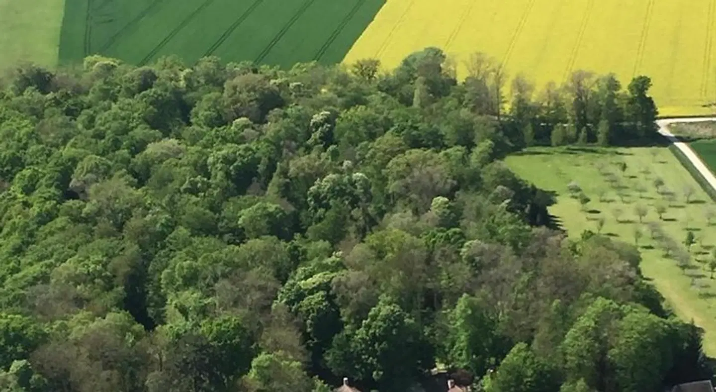 Château de Montabert LANDSCAPE