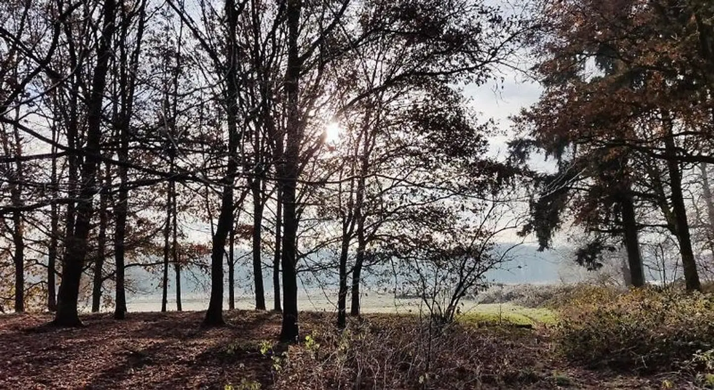 Overbosch LANDSCAPE