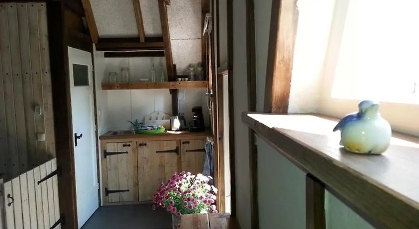 B & B De Pimpelmees Badezimmer
