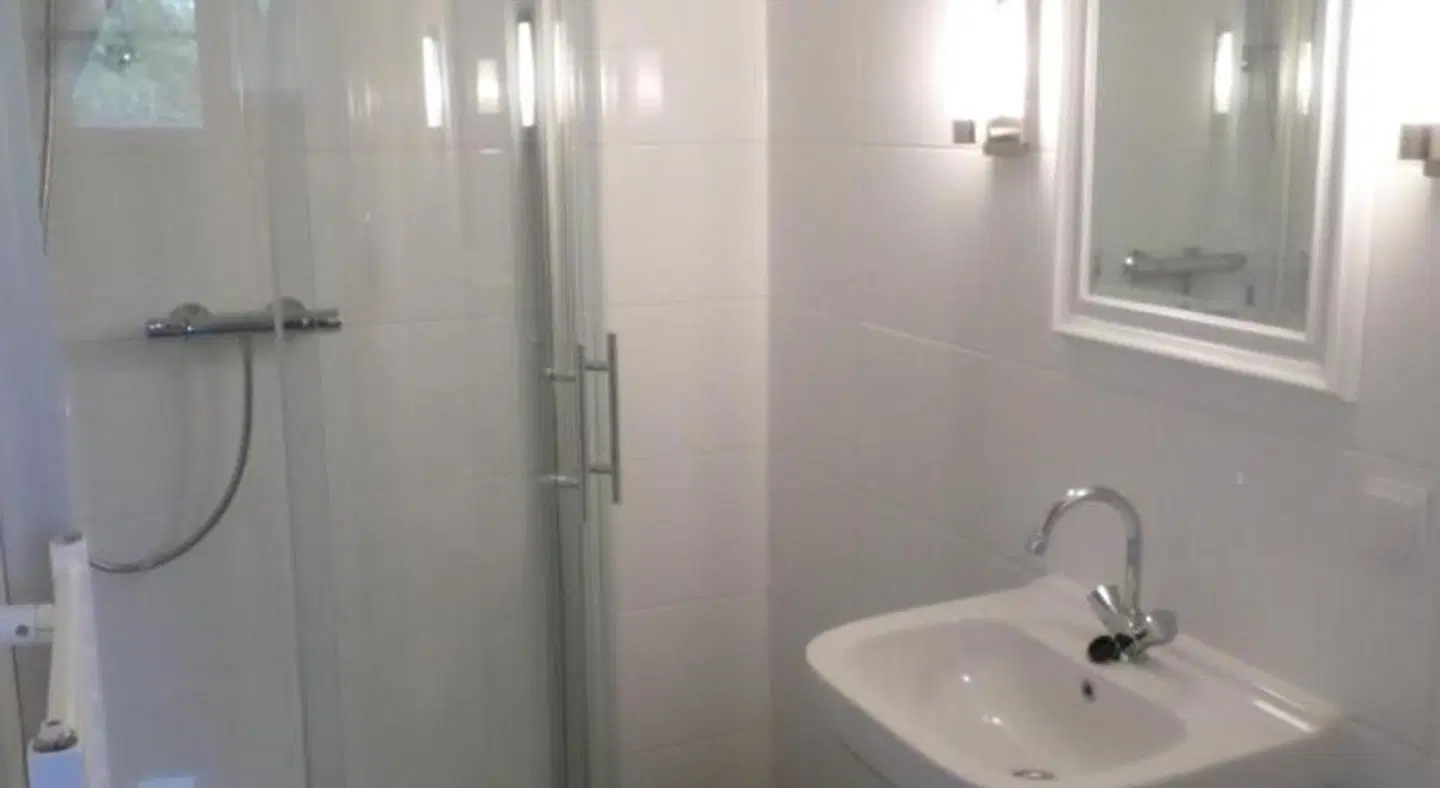 B & B De Pimpelmees Badezimmer