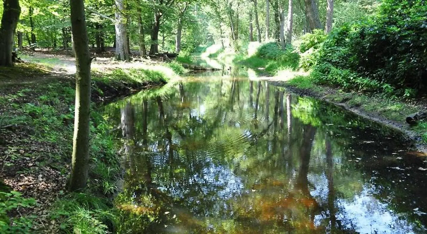 Gasterij Leyduin LANDSCAPE