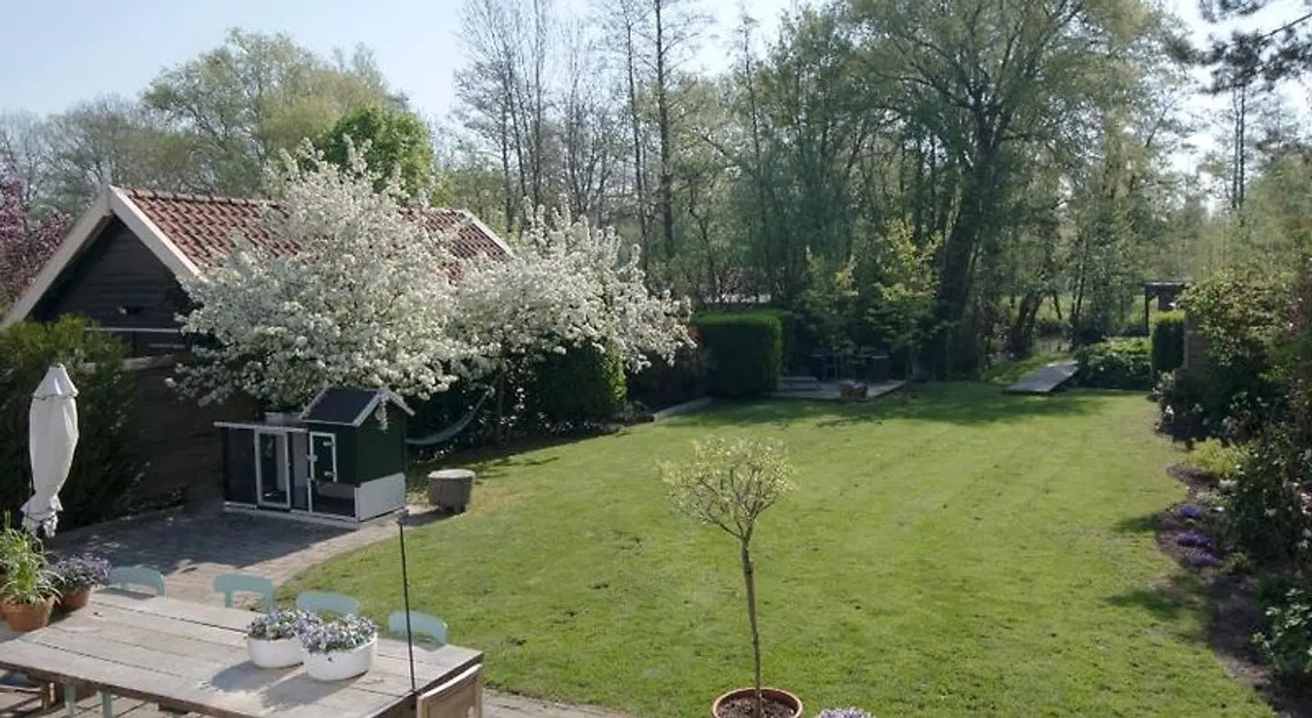 B & B Meet the Dutch Tiere