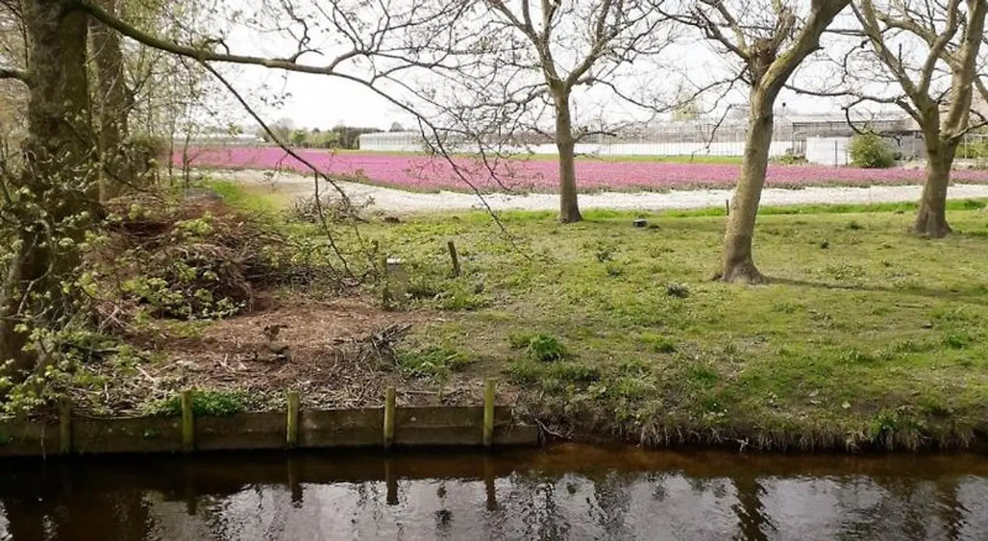 B & B De Gouwe Plek LANDSCAPE