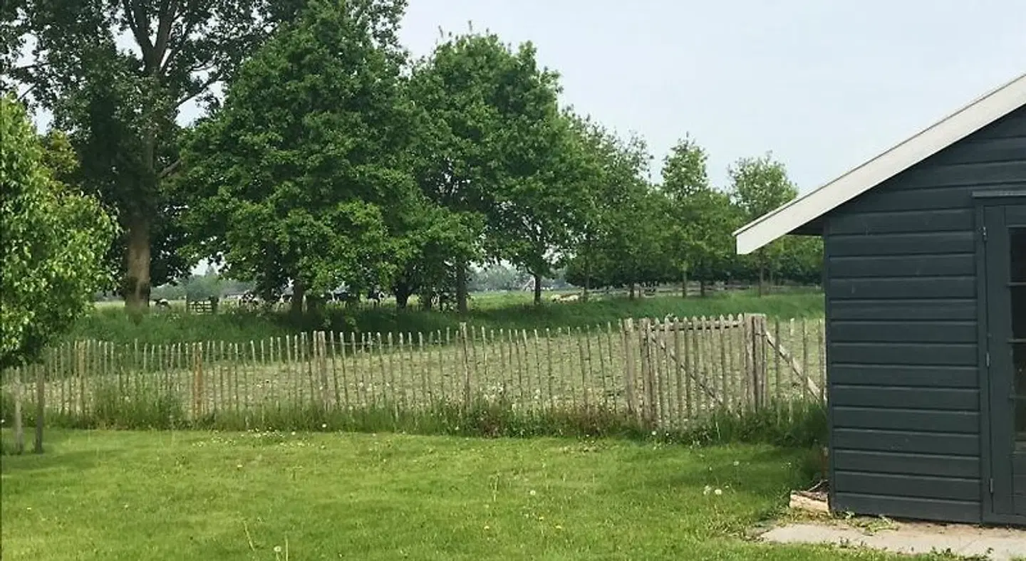 Nabij de Molen LANDSCAPE
