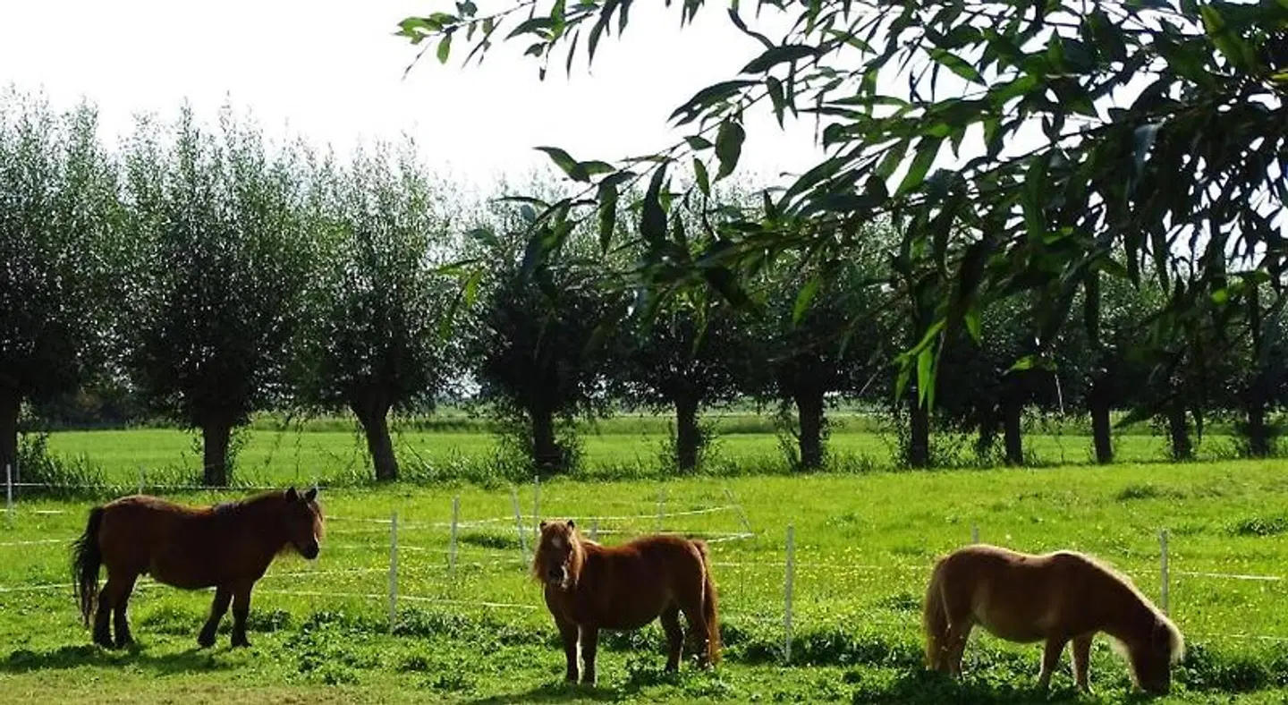De Oude Stoffeerderij Tiere