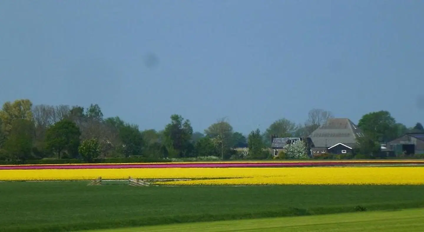 Het Burgemeestershuis SPORTS_AND_LEISURE