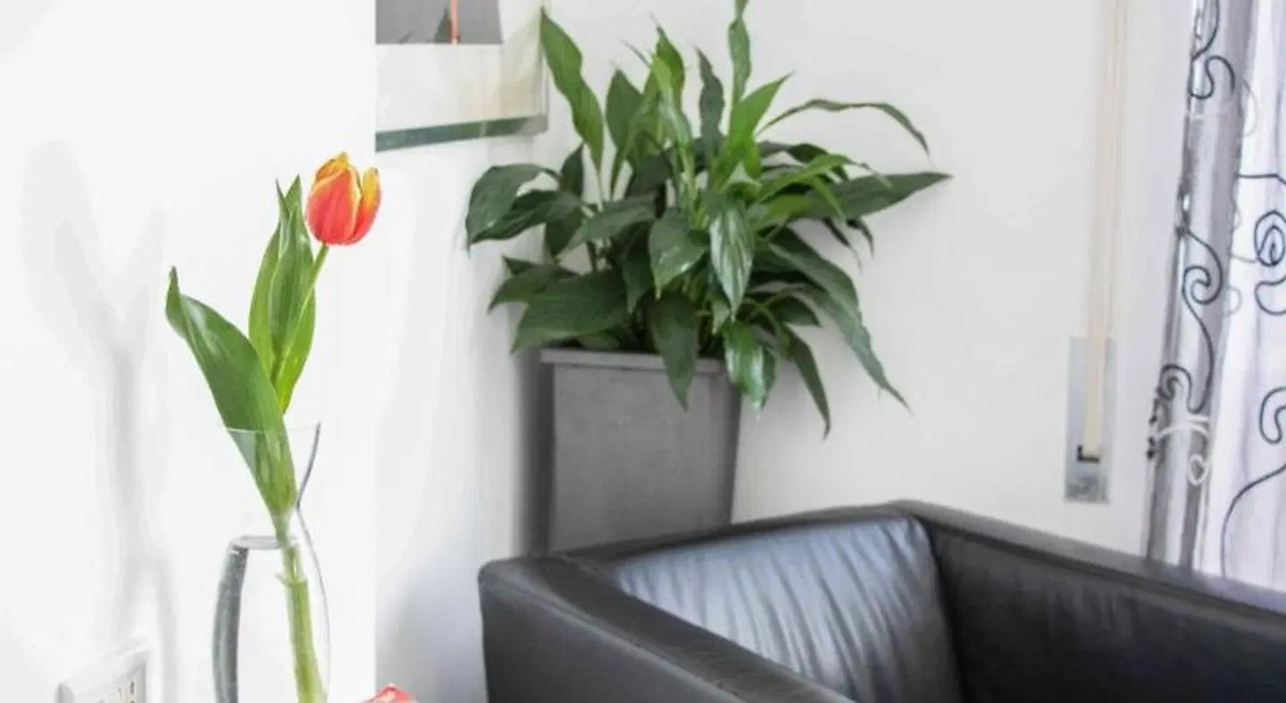 Gallery B&B ROOM_EXAMPLE