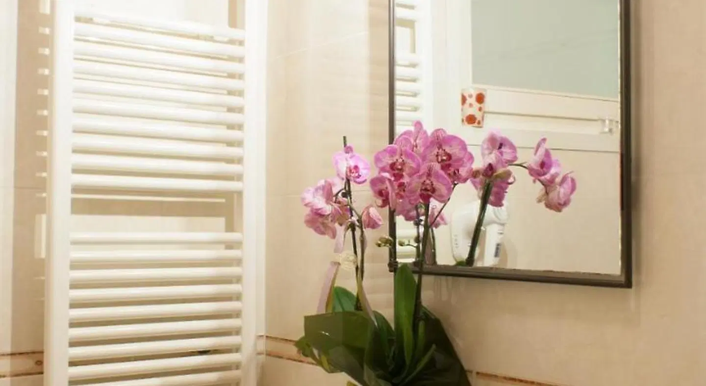 Anfiteatro B&B HEALTH_BEAUTY