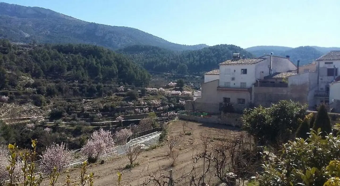 Casa Malferit LANDSCAPE