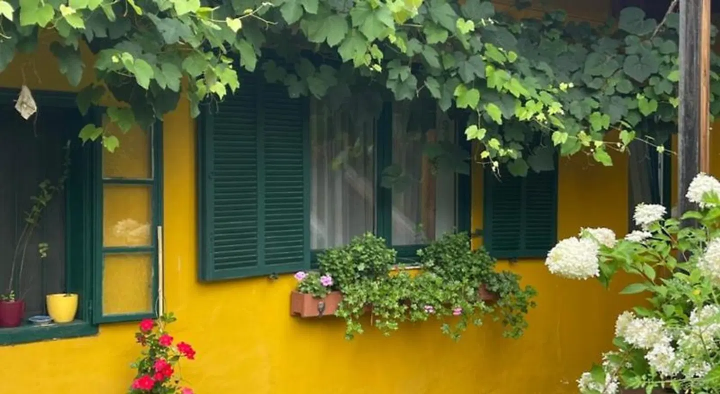 Landgasthof Zum Alten Weinstock Garten