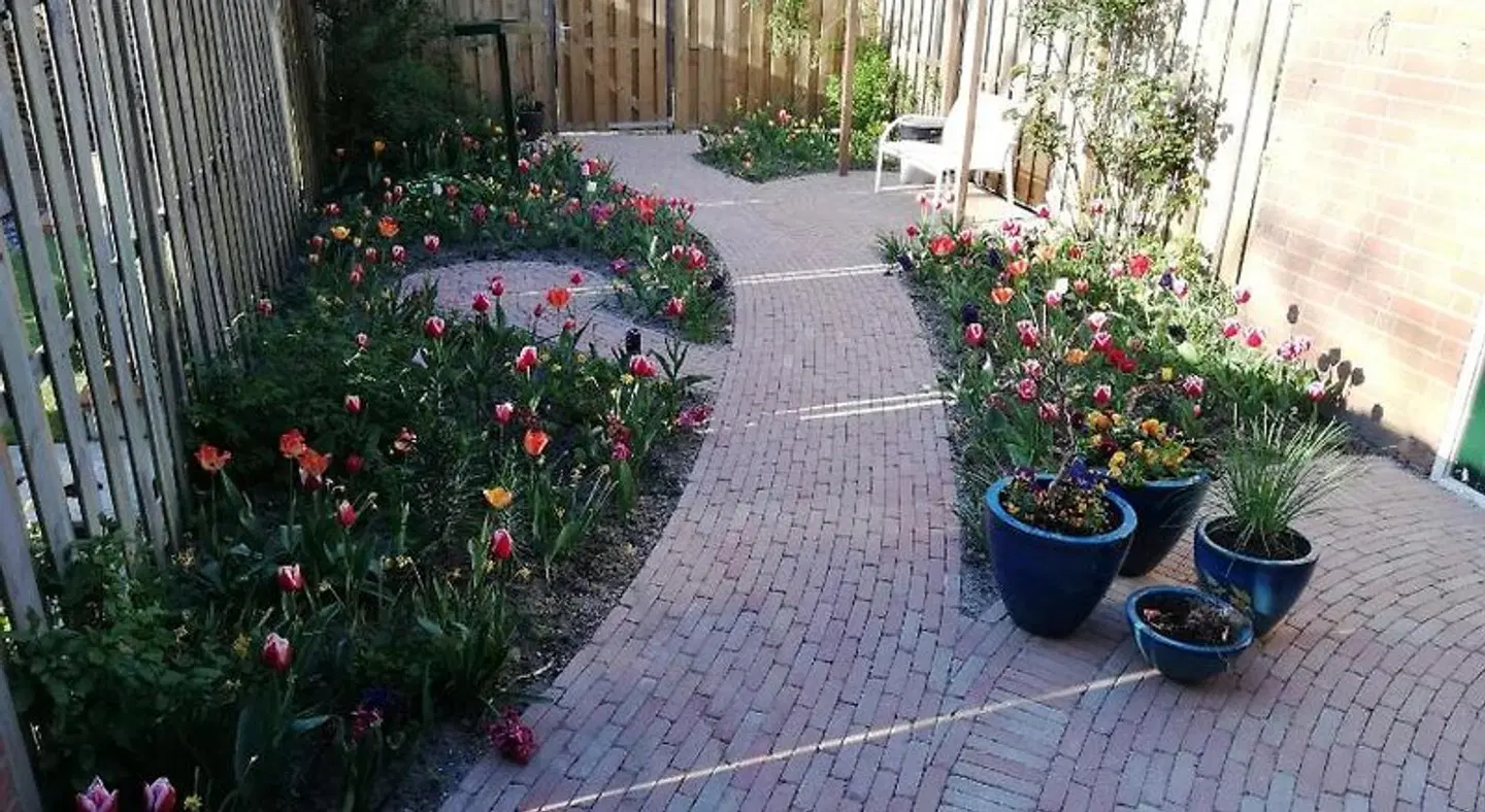 Home stay Utrecht (women only) Garten