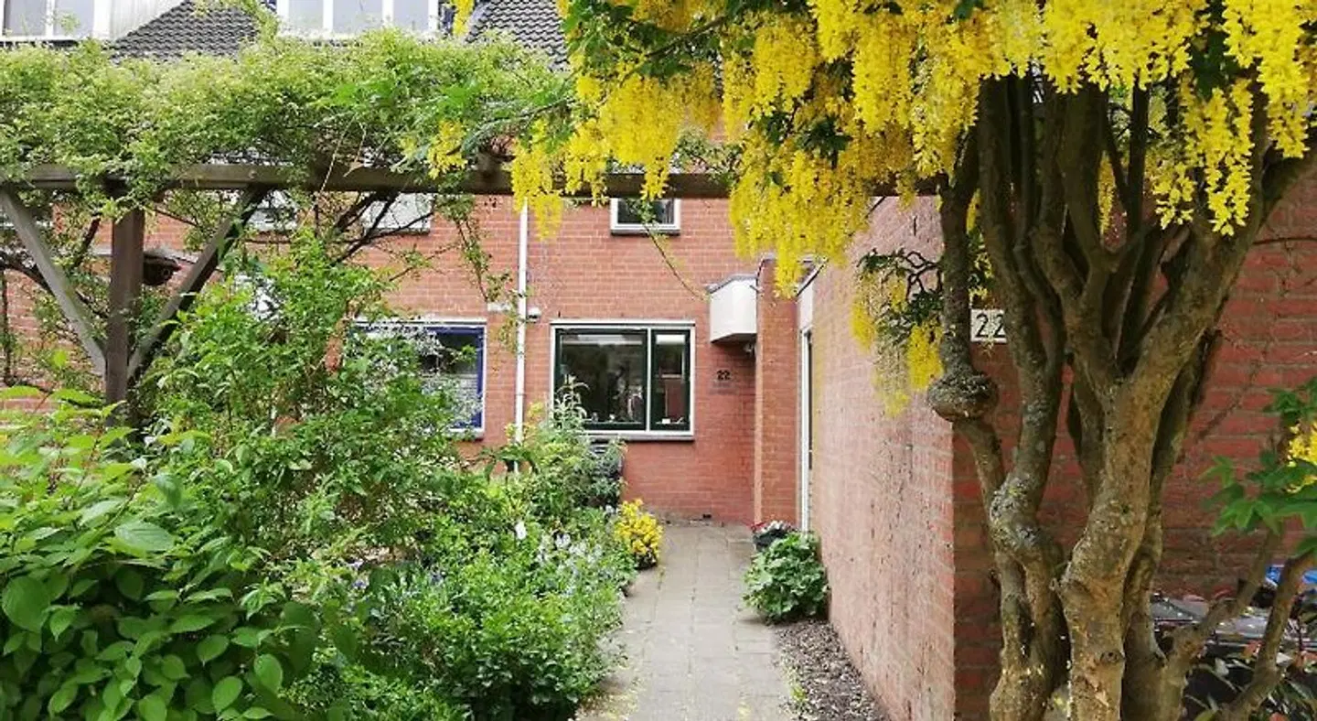 Home stay Utrecht (women only) EXTERIOR