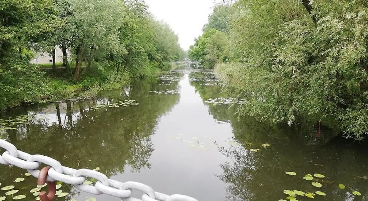 Home stay Utrecht (women only) LANDSCAPE
