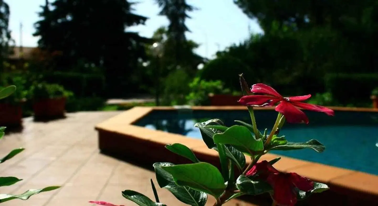 B&B Le Pernici Terrasse