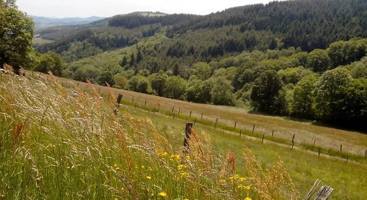 Centre de Vacances Les Sylvageois LANDSCAPE