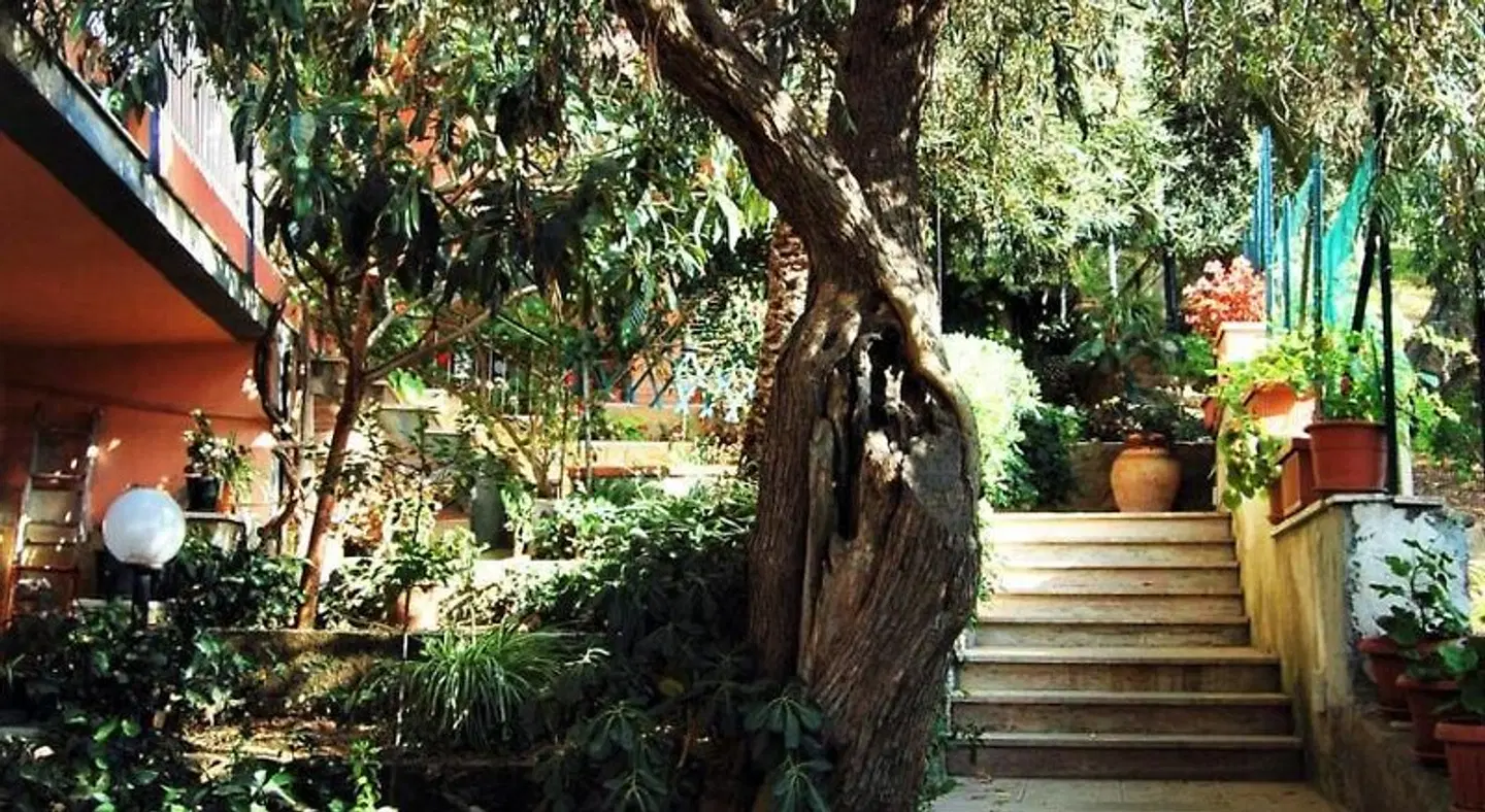 Delle Rose LANDSCAPE
