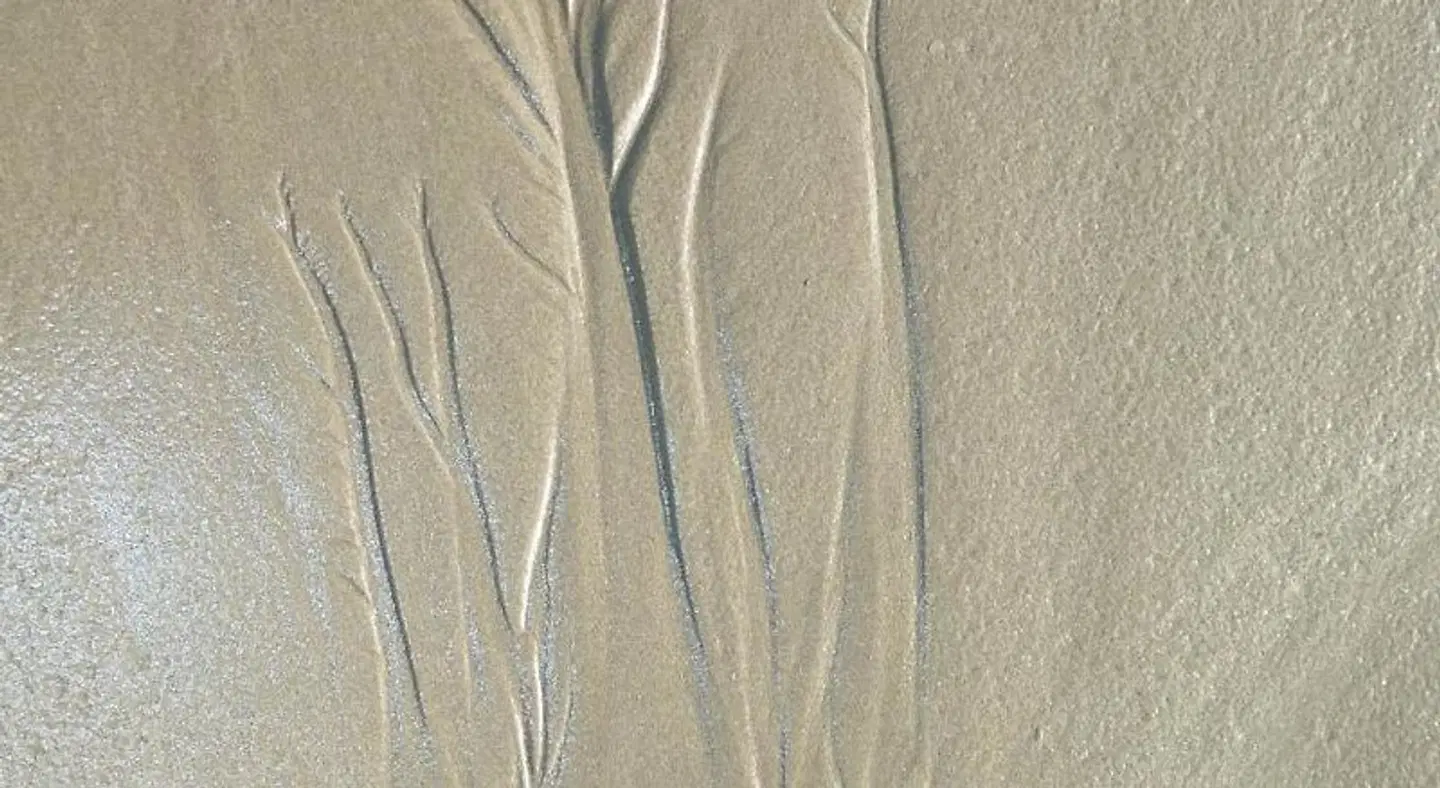 Au Soleil Breton LANDSCAPE