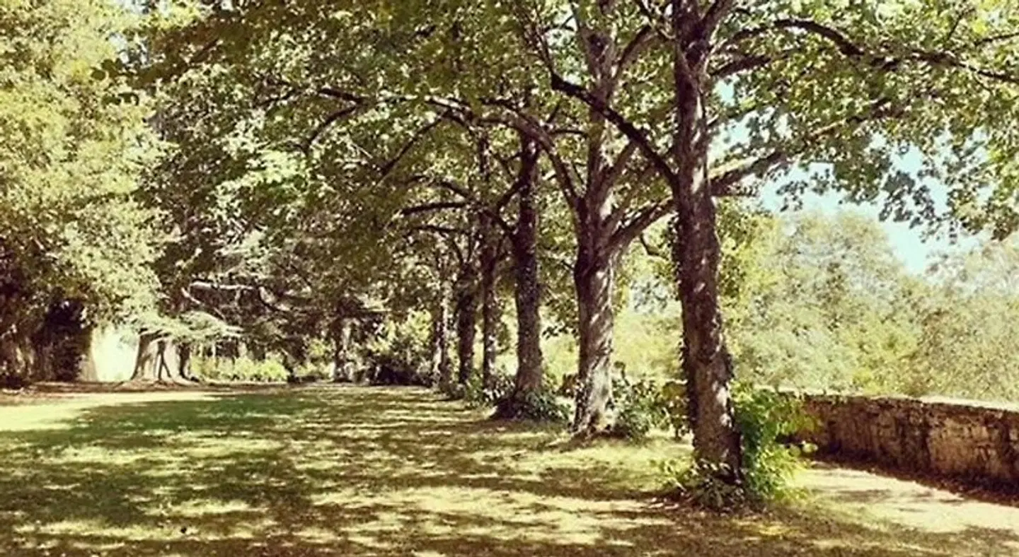Domaine de Carriere LANDSCAPE