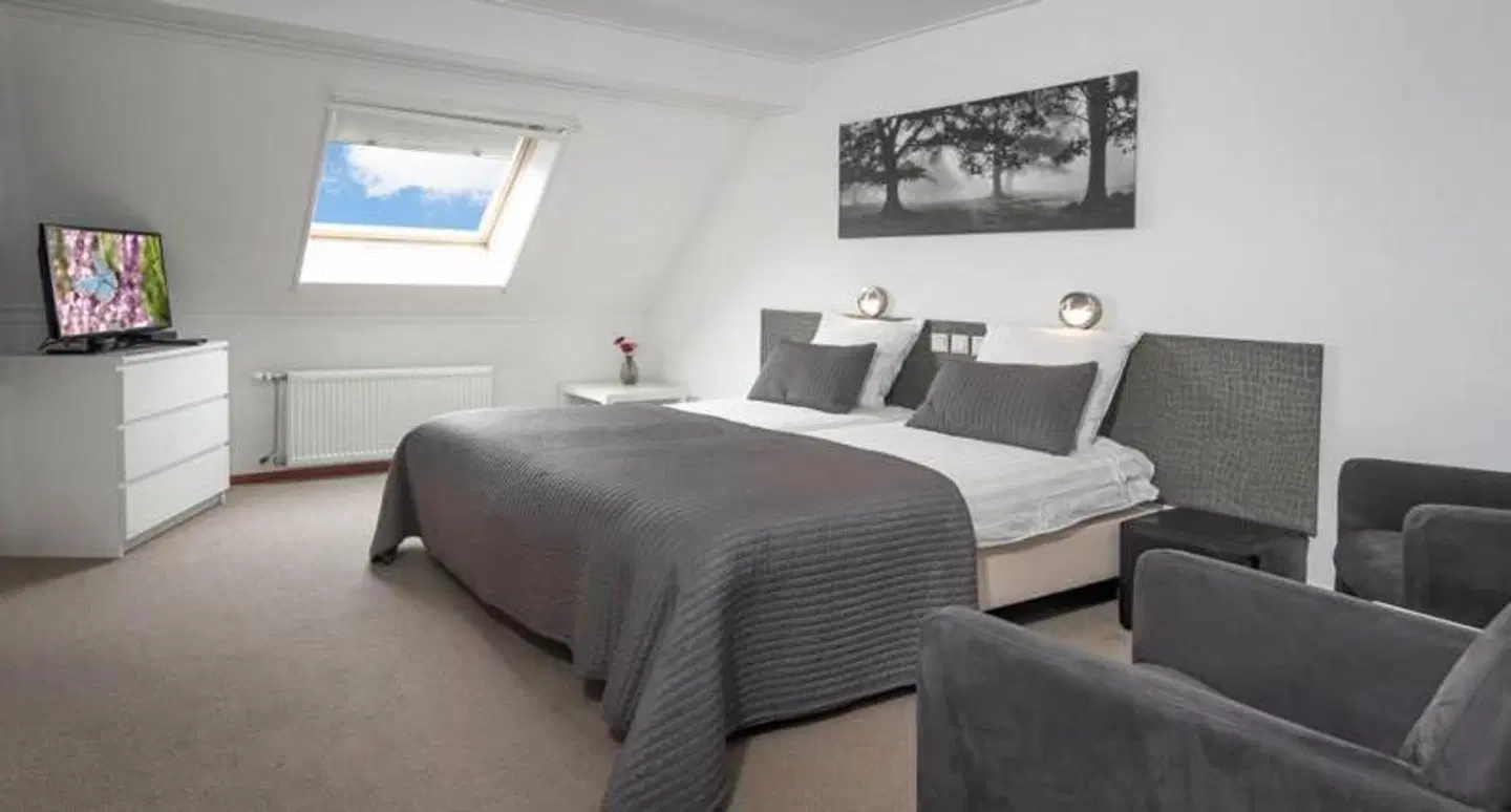 Wellnesshotel Spabron Hesselerbrug ROOM_EXAMPLE