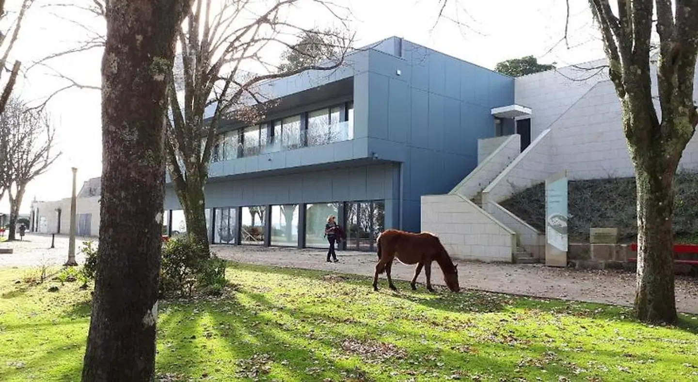 Albergue de peregrinos|Hostel Tiere