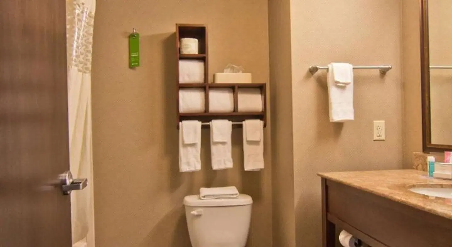 Hampton Inn Columbus-South Badezimmer