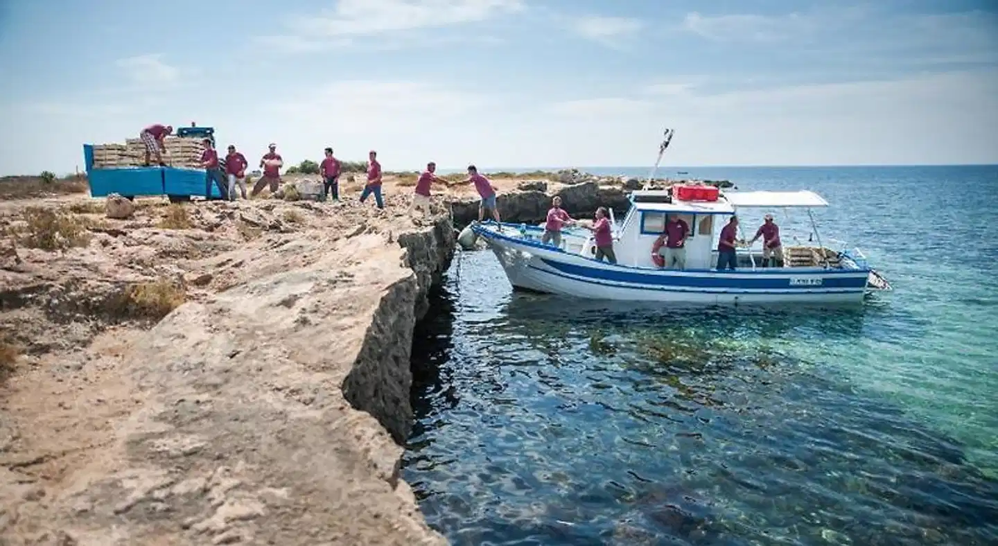 Firriato Hospitality - Calamoni di Favignana Sport und Entertainment